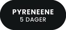 Pyreneene